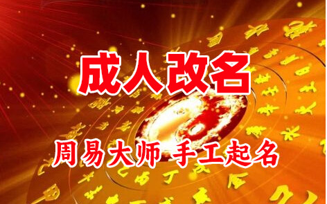 东营市成人改名-找大师一对一改名先分析后改名